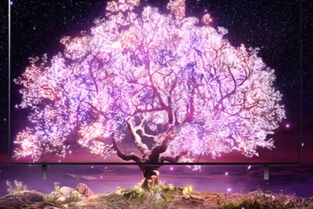 Ανακαλύψτε τη μαγεία των αυτοφωτιζόμενων pixels με τις LG OLED τηλεοράσεις