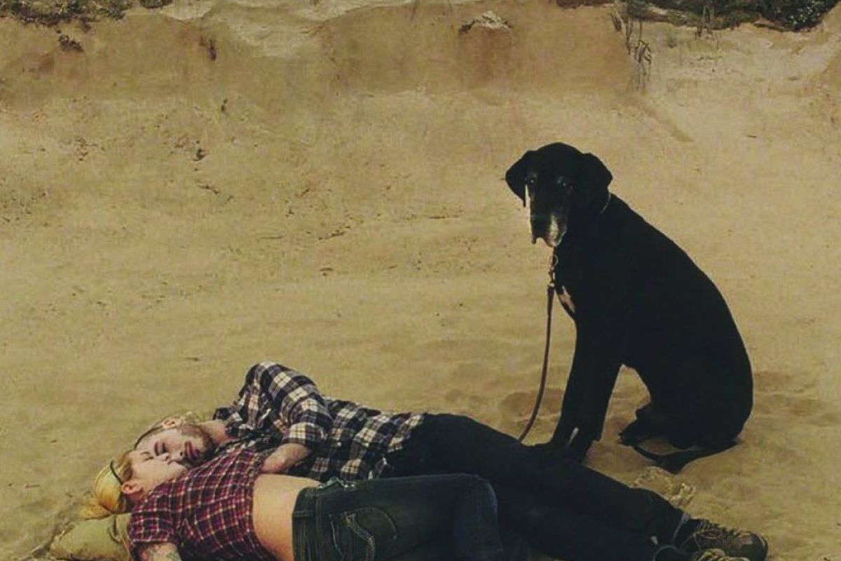 c98254fa550d3f9391de80d6dd97b7ef XL 86bcb941