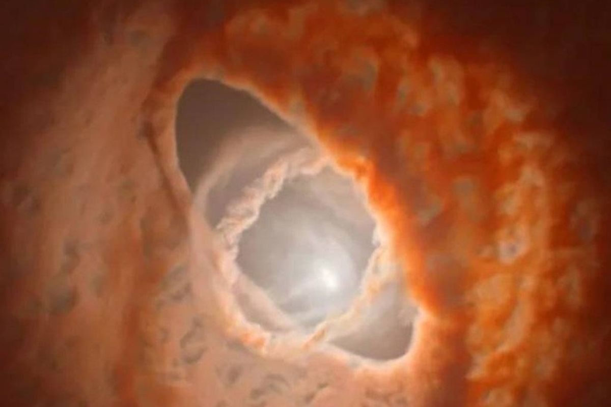 ca7c97f65983035a75842ddcf8a1ef7f XL 86c9a01a