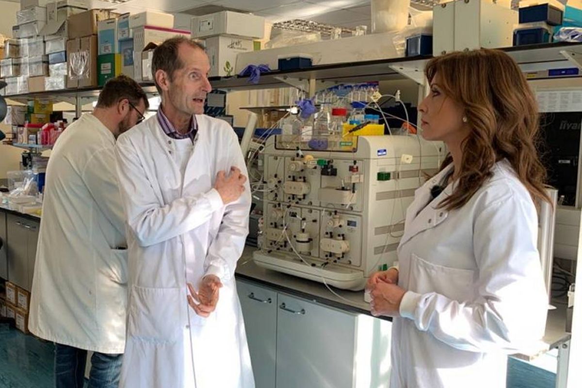 31bebd6432f45527b7ce352b3efc5a9c XL 87f379b7