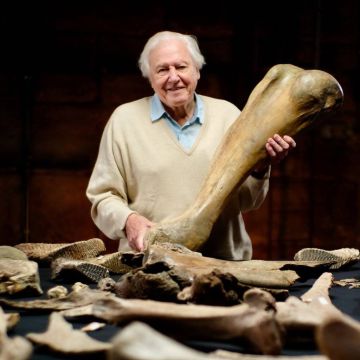 Η Nova εμπλουτίζει περαιτέρω το πλούσιο περιεχόμενό της