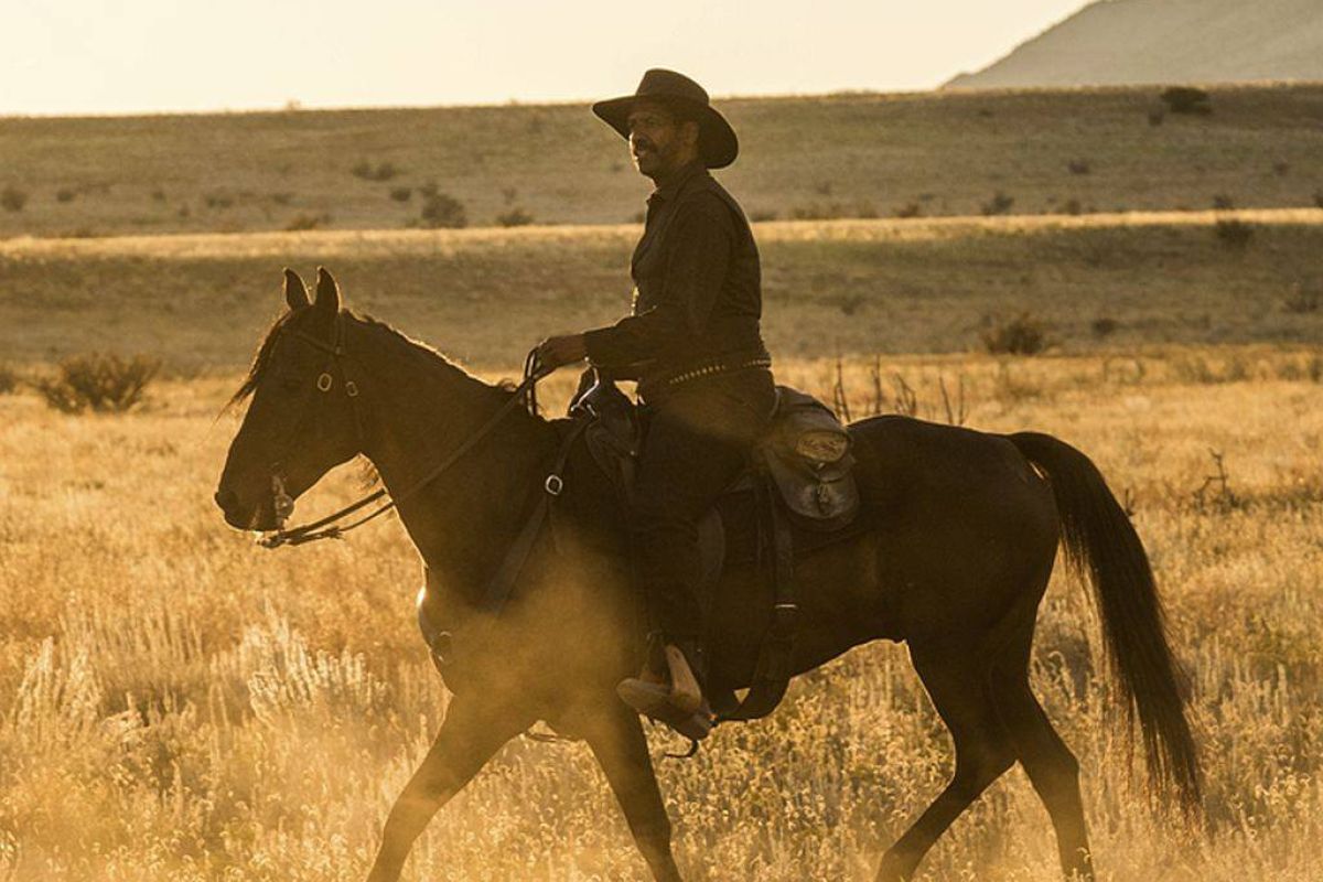 11066866d926b97fa780cf73039919cf XL 88009ee7