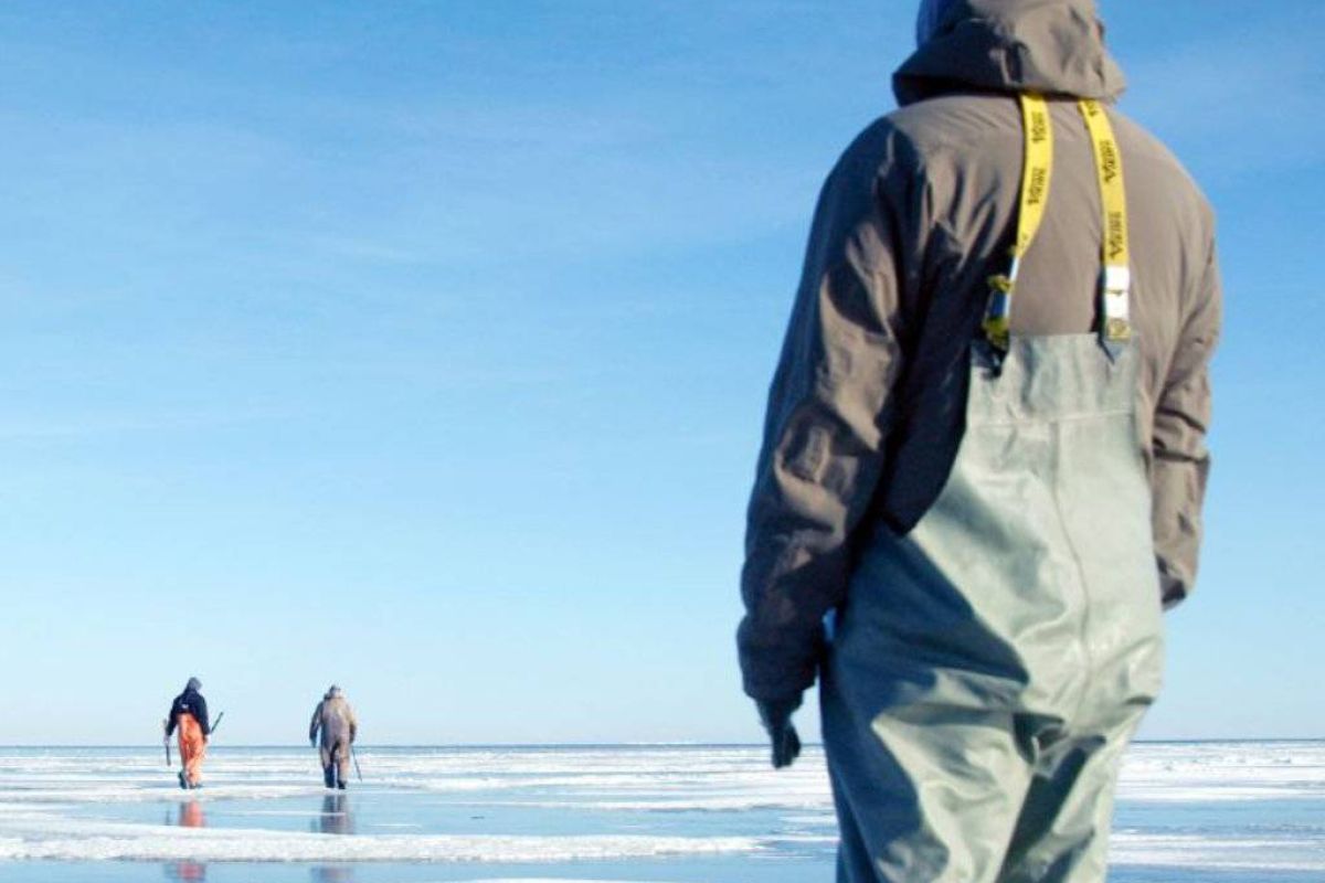 49e034ecf6288474105b9c46e5635154 XL 88748895