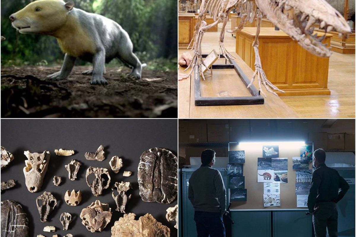 5a96b87522165ce81cb46cfeb02d68bf XL 88a7bd96