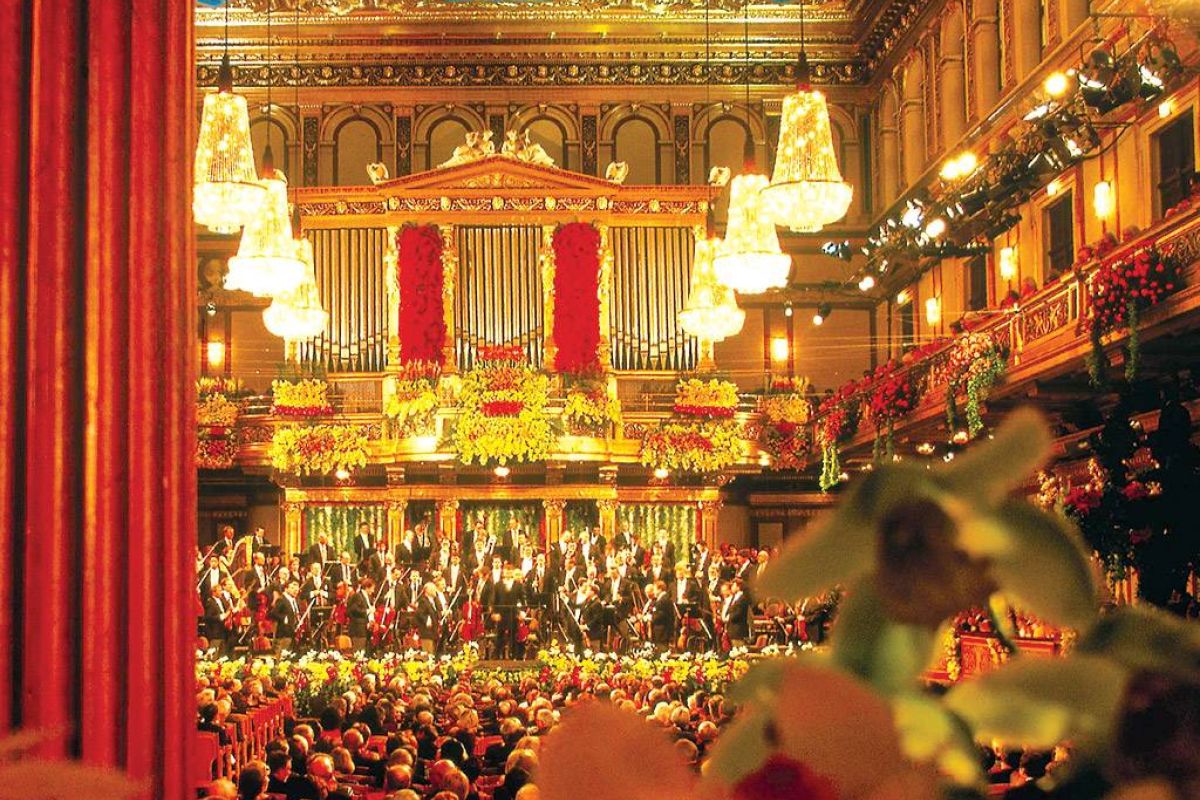 977c6805ee129931ab5991c1d616db1f XL 88770890