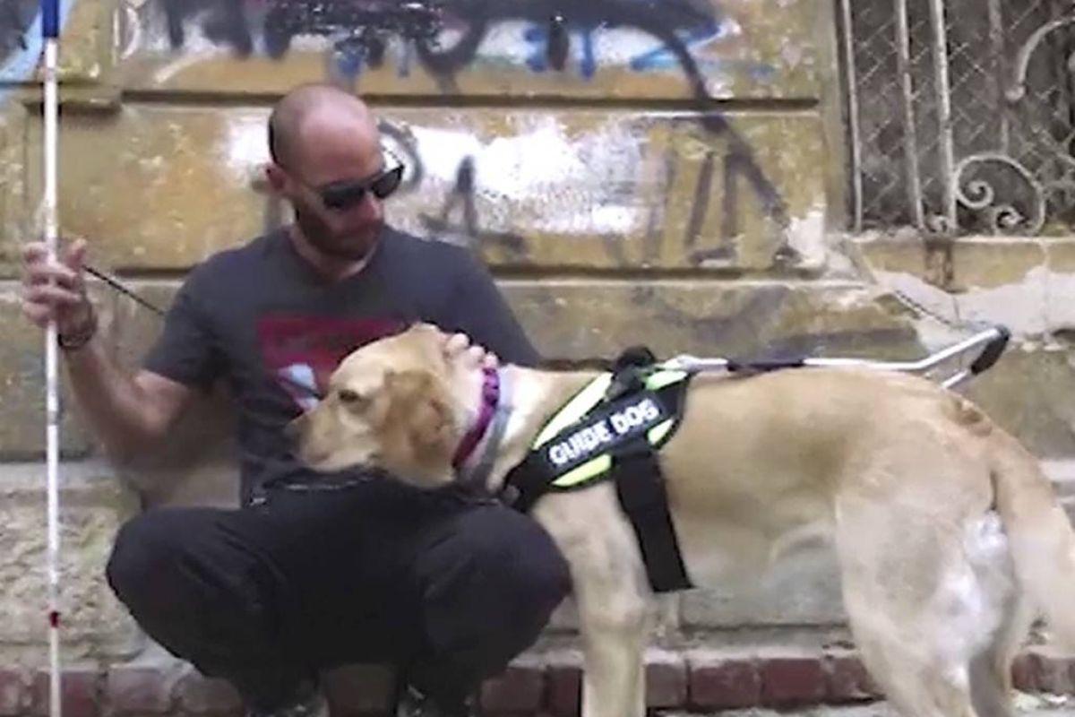 b23da727a57a1203e693aaf47bfc7b79 XL 8961b4b9