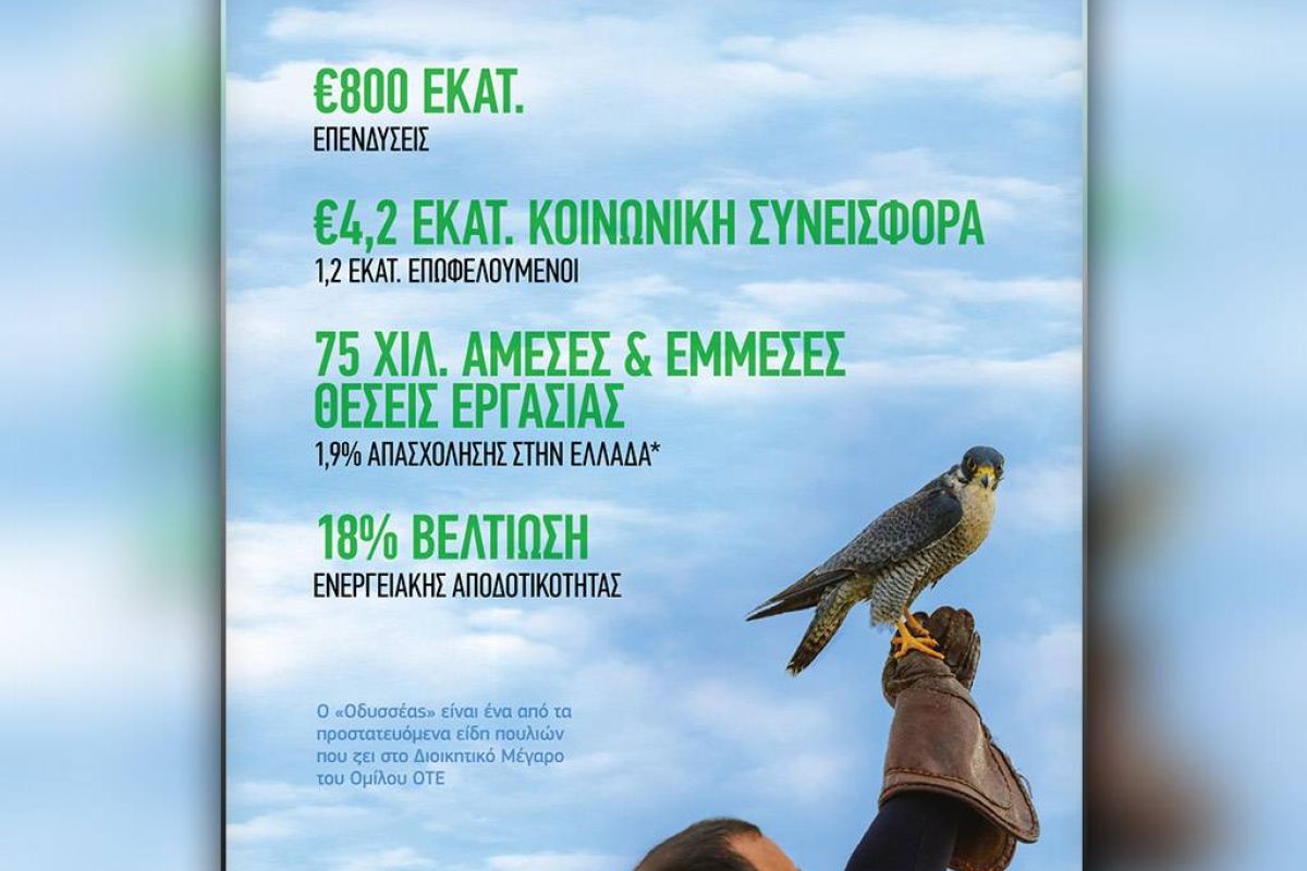 0893f9d4c8f1e97a7da7f0779c9d0f64 XL 8abee0c8