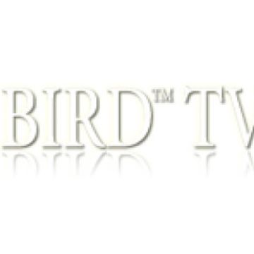Βγήκαν οι υποψηφιότητες για τα HOT BIRD TV AWARDS 2011