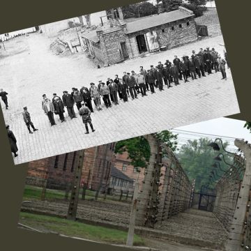 Ιστορικά Ντοκιμαντέρ- Τετάρτη 25 Οκτωβρίου 2023 στην ΕΡΤ3