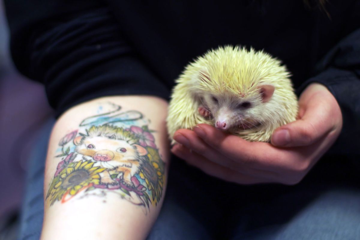 Viasat NATURE THV S01 EP10 Still 10 8a0febf6