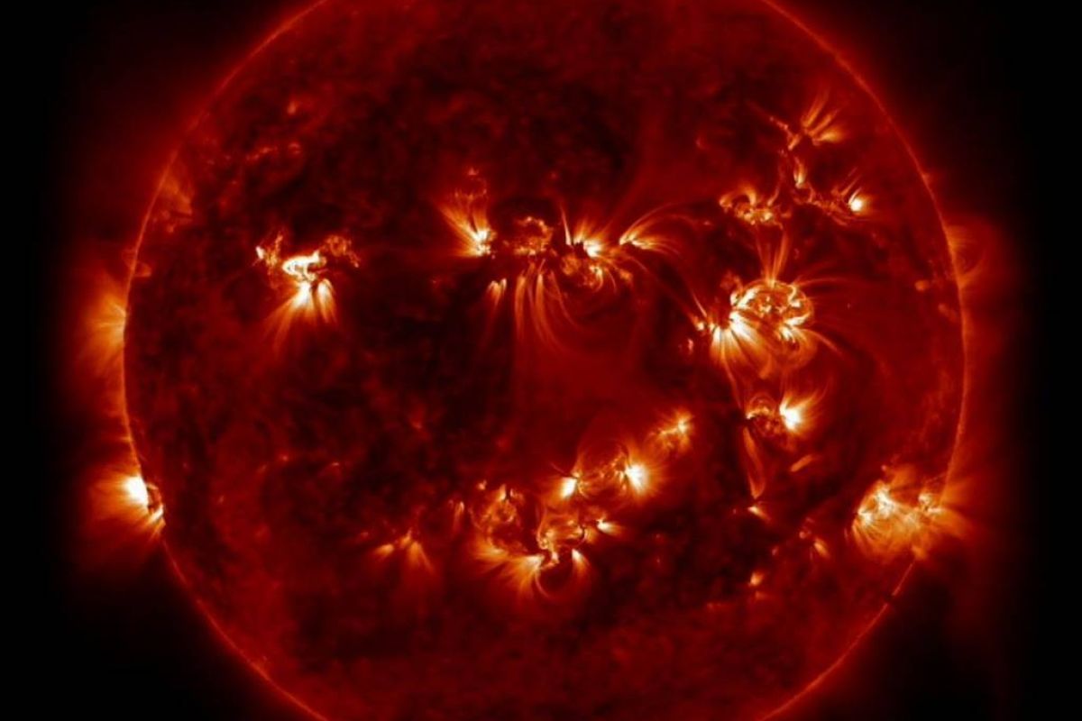 2e6499d71c02dc535cd0684520360619 XL 8ba1ff71