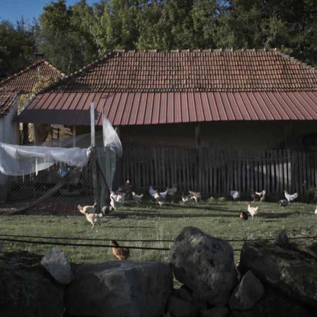 Νέα Σειρά Ντοκιμαντέρ στην ΕΡΤ3: «Άιντε Βαλκάνια»: Ζίμνιτσα – Οι Προετοιμασίες για τον Χειμώνα – Σερβία