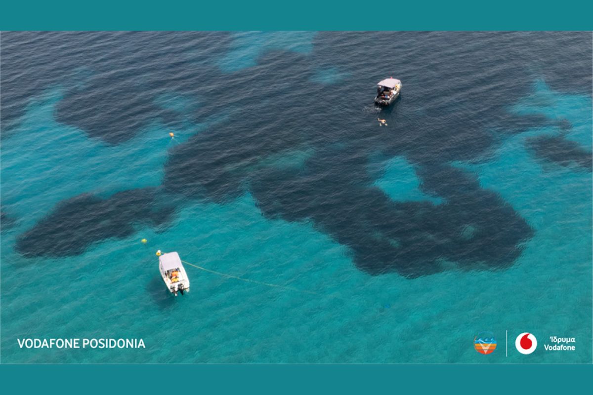 Untitled 1 80 8b0eb244