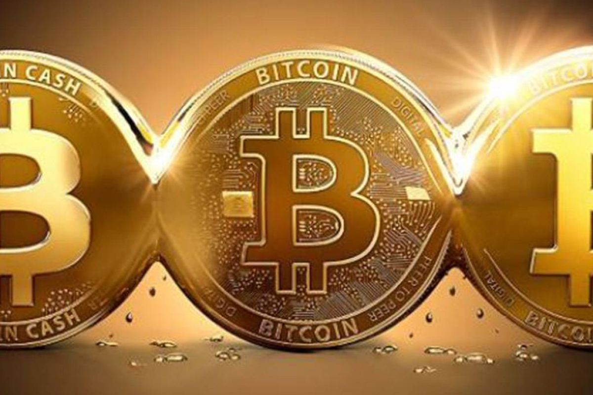 acf7b7c55b46fa3918347241eaedd0b2 XL 8b70bf8d