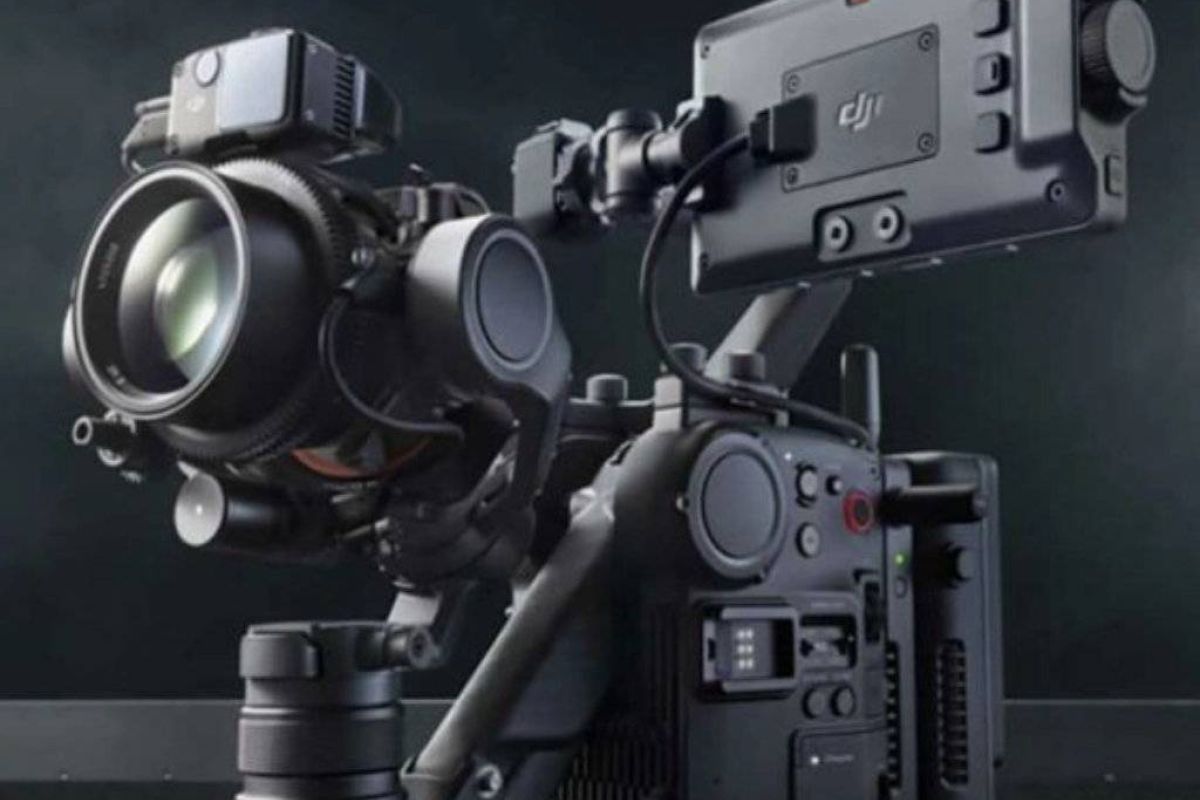 2be30a0b3684ae2f15042cf8daf0b61a XL 8c23ddd0