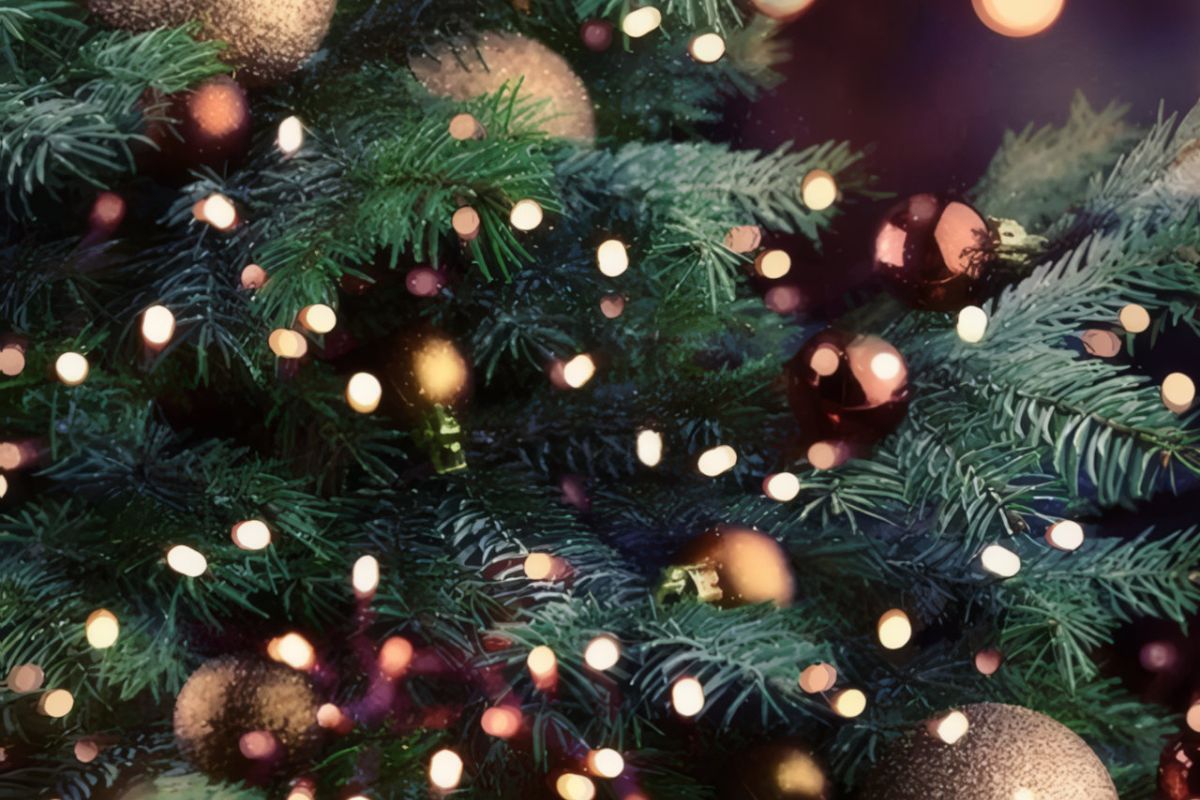 Για έκτη χρονιά ο διαγωνισμός ζωγραφικής χριστουγεννιάτικης – πρωτοχρονιάτικης κάρτας των παιδιών μελών της ΕΣΗΕΑ