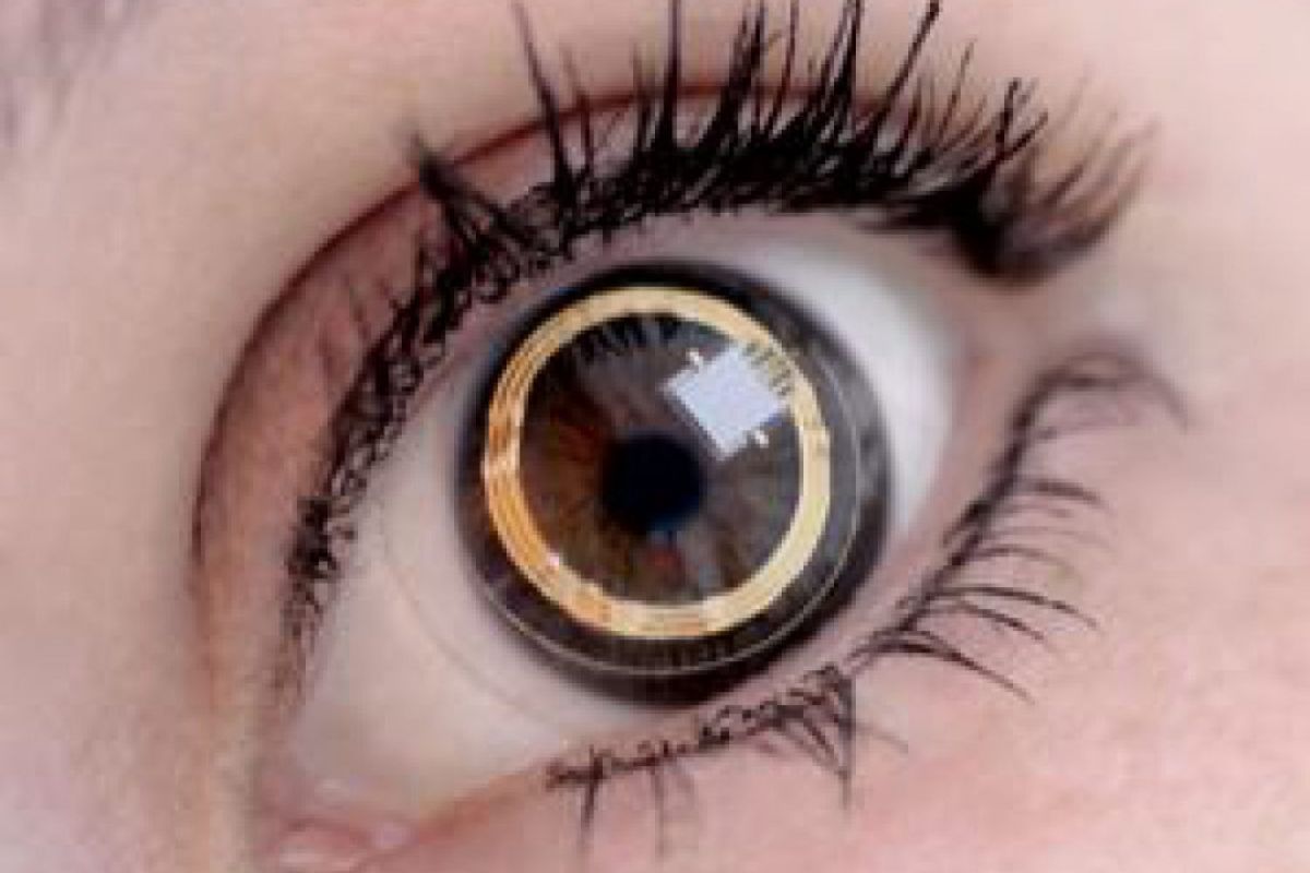 f09454dfa3912703d1c31ee84ac3ad01 XL 8e4f56c9