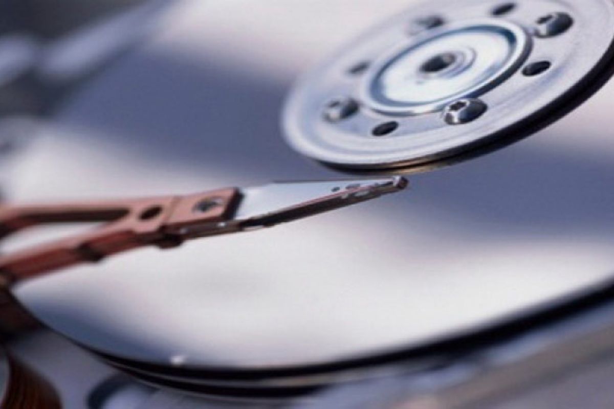 1a5ffc6d95a264f5c2a6d81f7c2618a0 XL 8f95b0a9