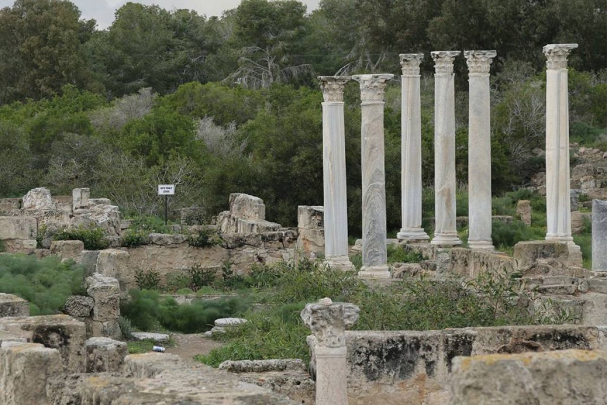 9664a80dfa6d19a172b67d87d80036e5 XL 8fdf57f1