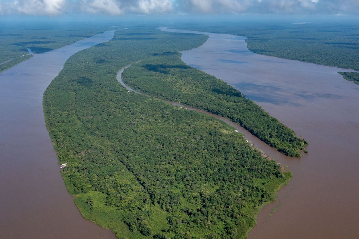 Untitled 1 3 8fd7d9c3