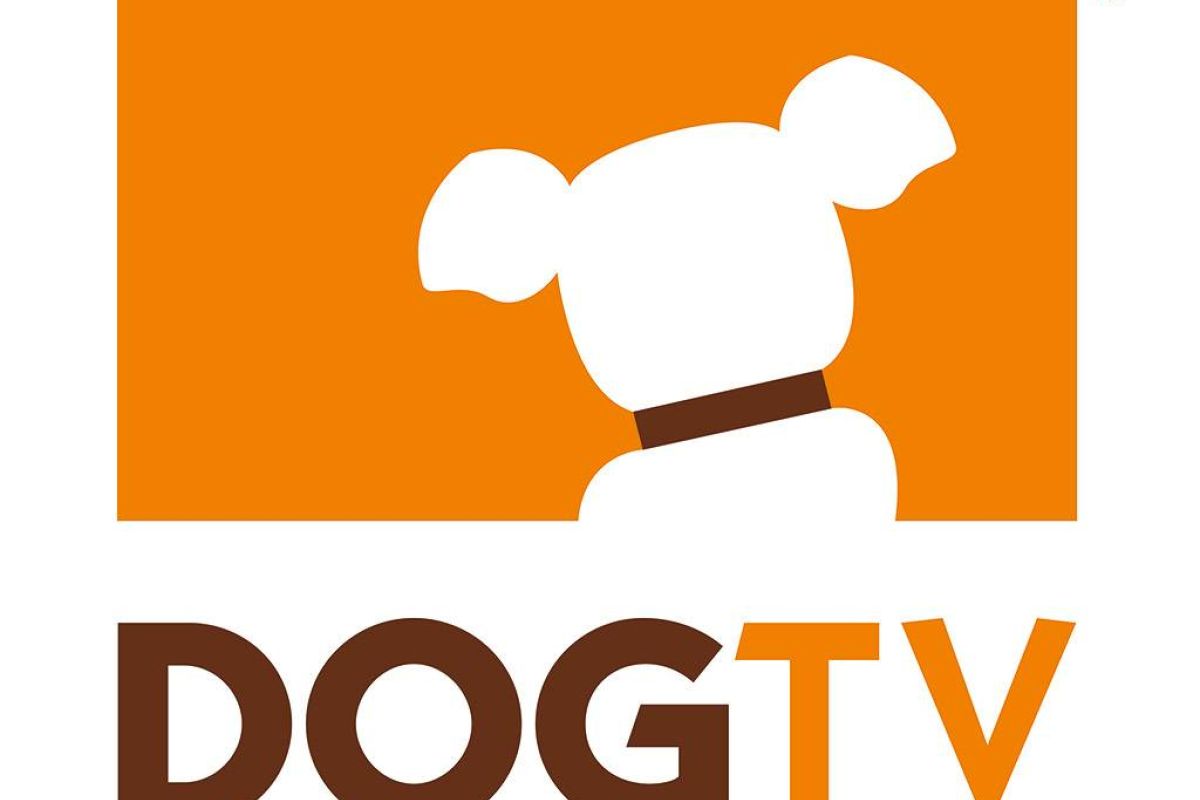 cce7969d0a3177a1487c3e27bb1f2471 XL 8faa815e