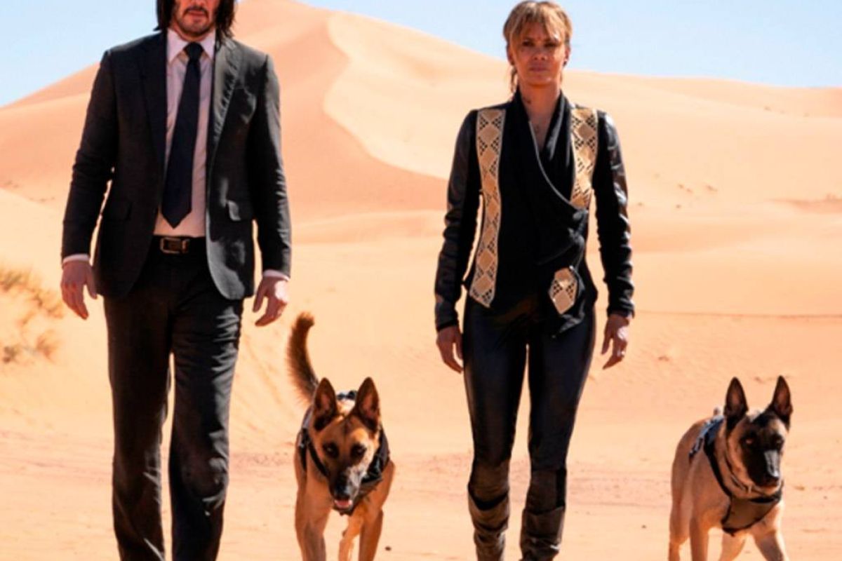 3eab3c0e7e0c3b06a3d92afb9342ae91 XL 9030fb6a