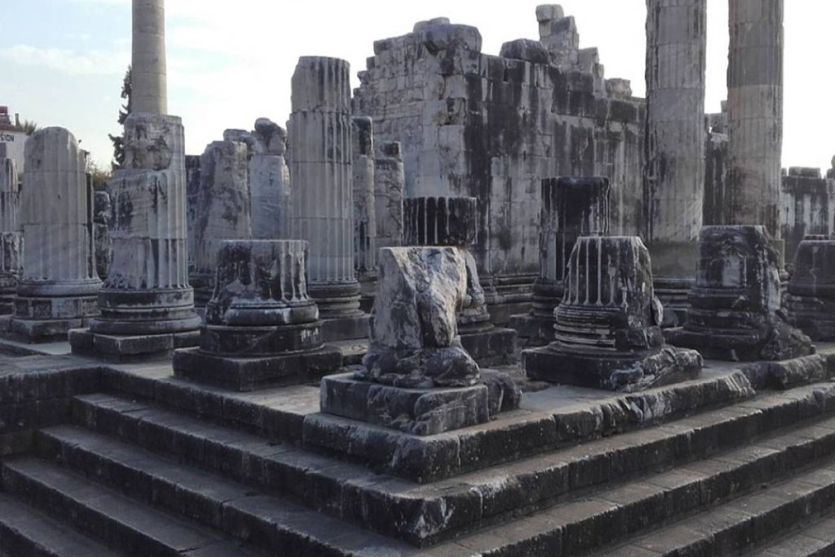 7df8a3df9ff366e35b479c1445631cfc XL 901e9458