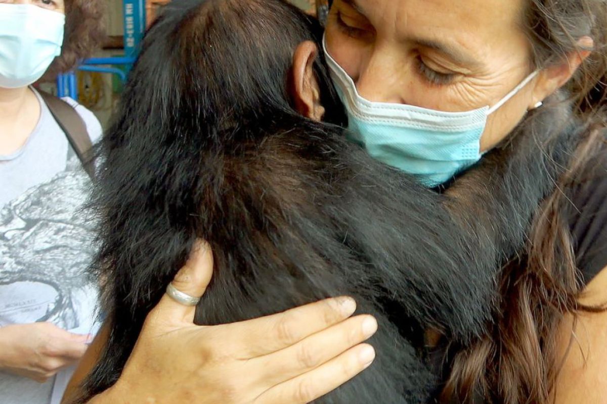 1024X1024 5 91140691