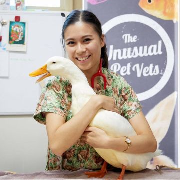 Κτηνίατροι αλλόκοτων κατοικιδίων: Γνωρίστε την ομάδα της νέας σειράς του Viasat Nature