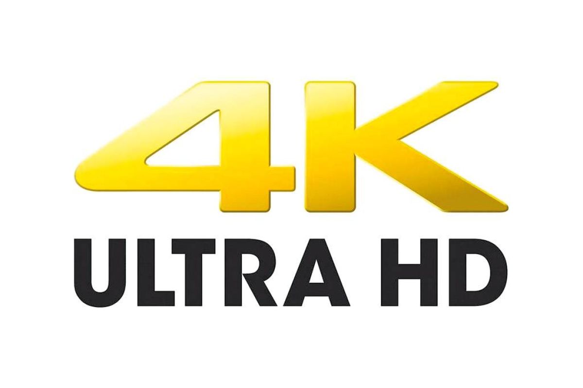 174ca3bd2fe3ba42ee8d175a41144ea3 XL 92b03543