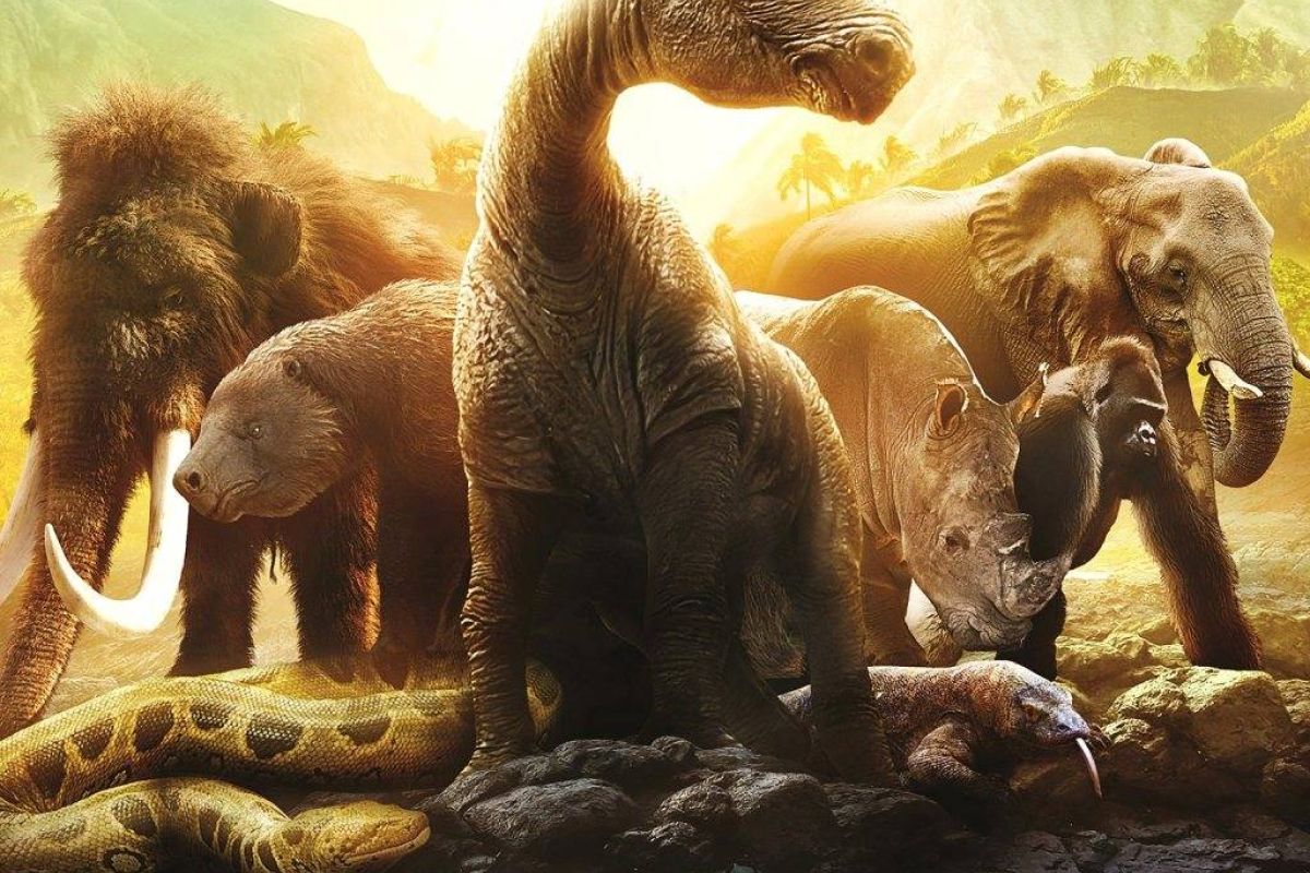 1e3605b97c1ba26215dadfe5b0cf1b8d XL 92ca3a6d