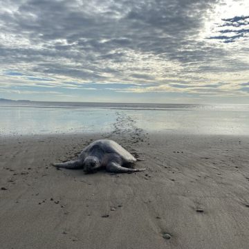 Μάρτιος στο Viasat Nature