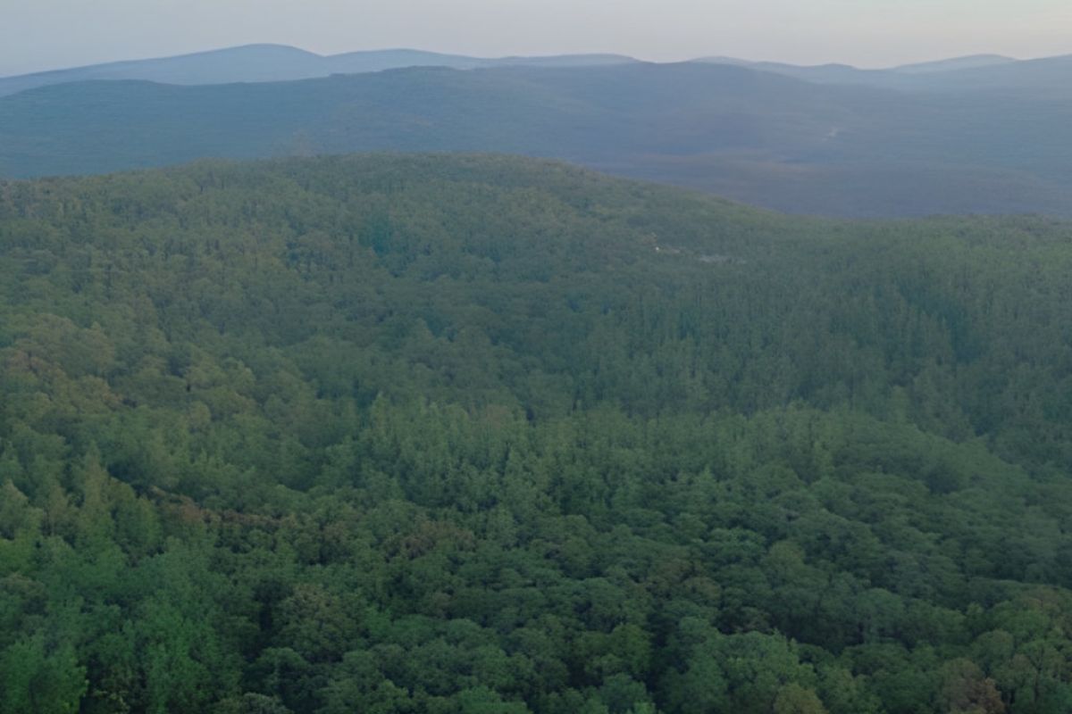 1024X1024 43 933138c9