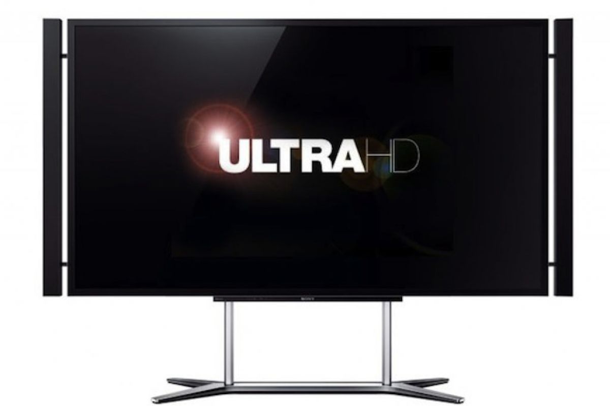 a5e8b99b65335a050bf4547253cf71c4 XL 93e03058