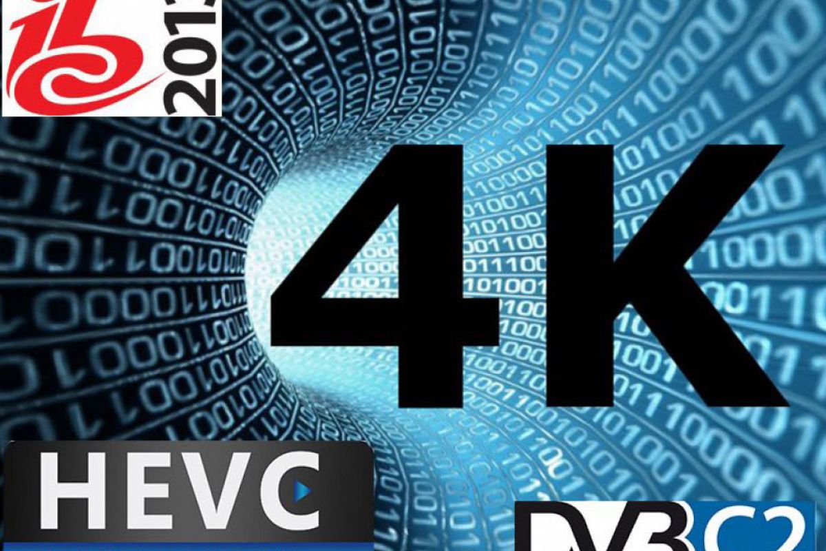 d73385015ca3c34c41ec9ad2288257a2 XL 939638a3