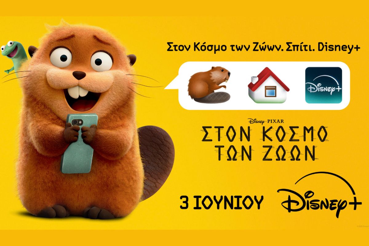 1280 square 86 94553532