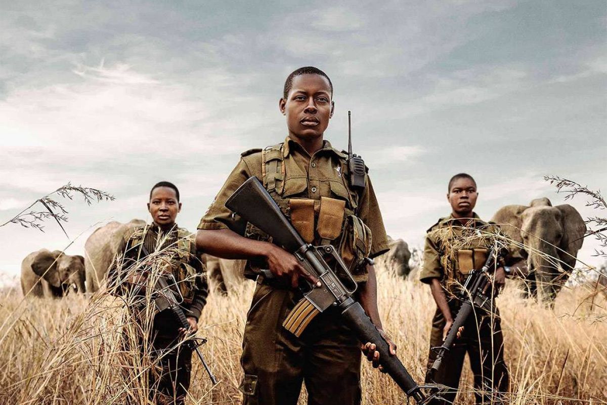 a8e224a763ffd3a071090e660f64f776 XL 9455fd27