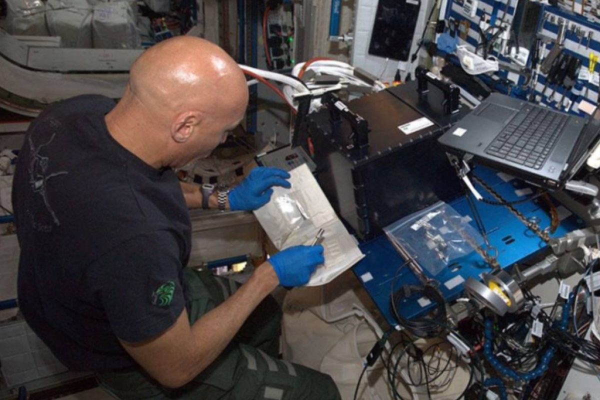 1e9386066afb7b6958bff67d140904e3 XL 95d3d4f6