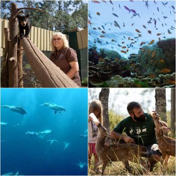 Η απέραντη ομορφιά του μεγάλου κοραλλιογενή υφάλου αποκαλύπτεται τον Οκτώβριο στο Viasat Nature