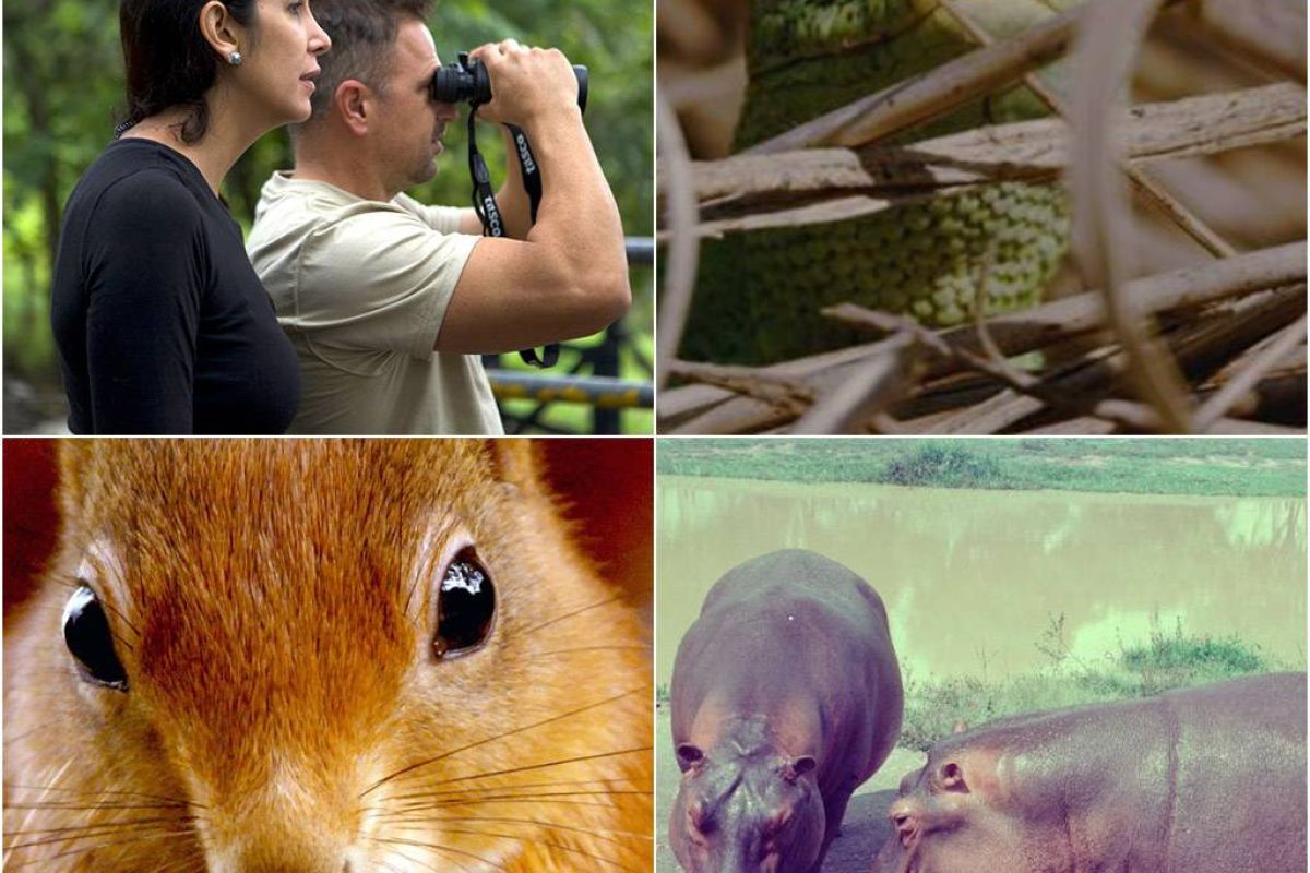 8d2556302372c06c1b54f9bffe89133d XL 959acbf7