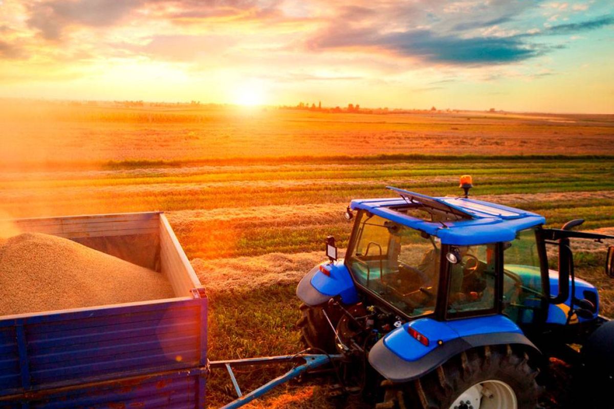 c21f3e2cf79275e5d87d1f88a807a263 XL 9585c515