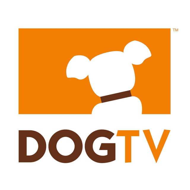 Κανάλι για σκύλους στη πορτογαλική Meo