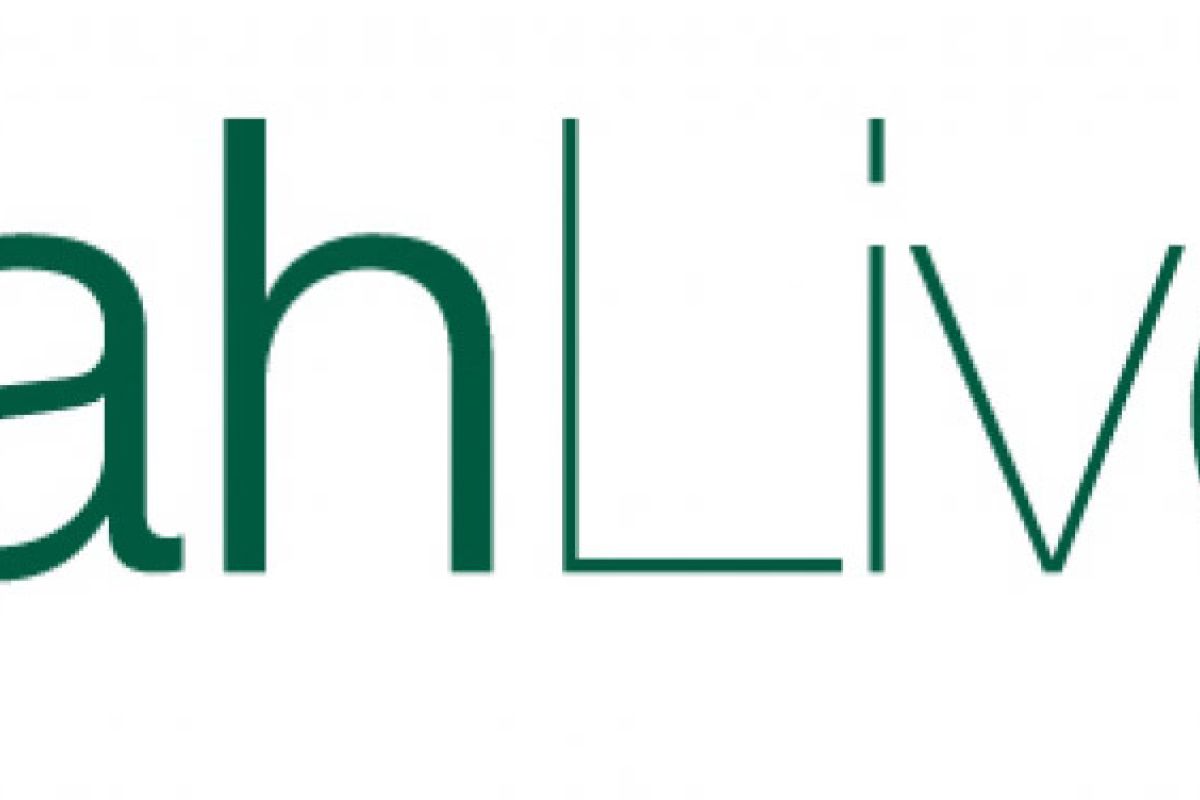 9b5a0a3fd69afdefa5535542b438e3b5 XL 97abd020