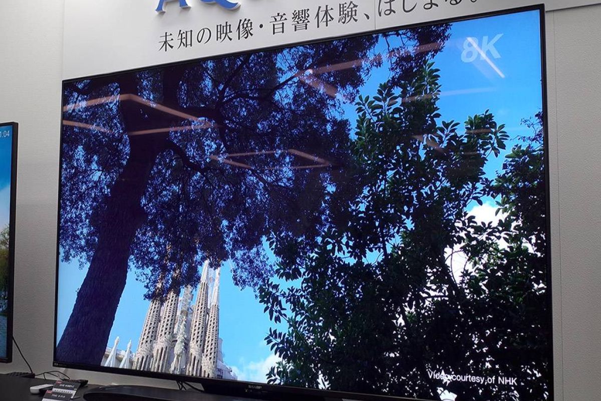 f261121632c9db9dc65c91f8b652eca2 XL 983c4d69