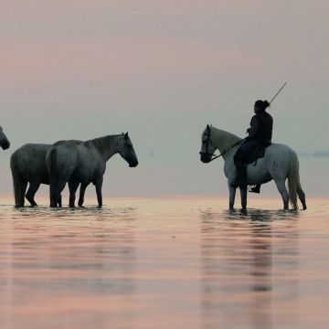 «Η ΟΔΥΣΣΕΙΑ ΤΩΝ ΖΩΩΝ» στο Viasat Nature