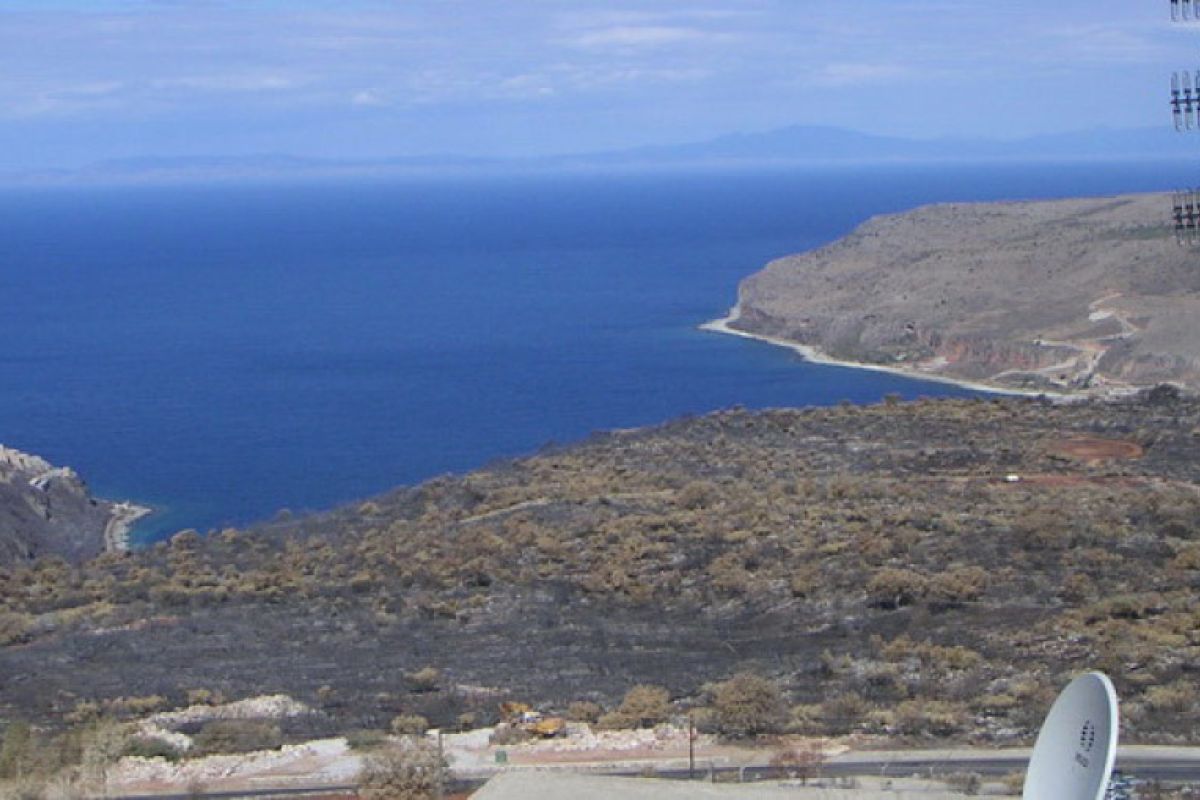 6dd91480c896845eddbda5bf6831c71b XL 99e757cb