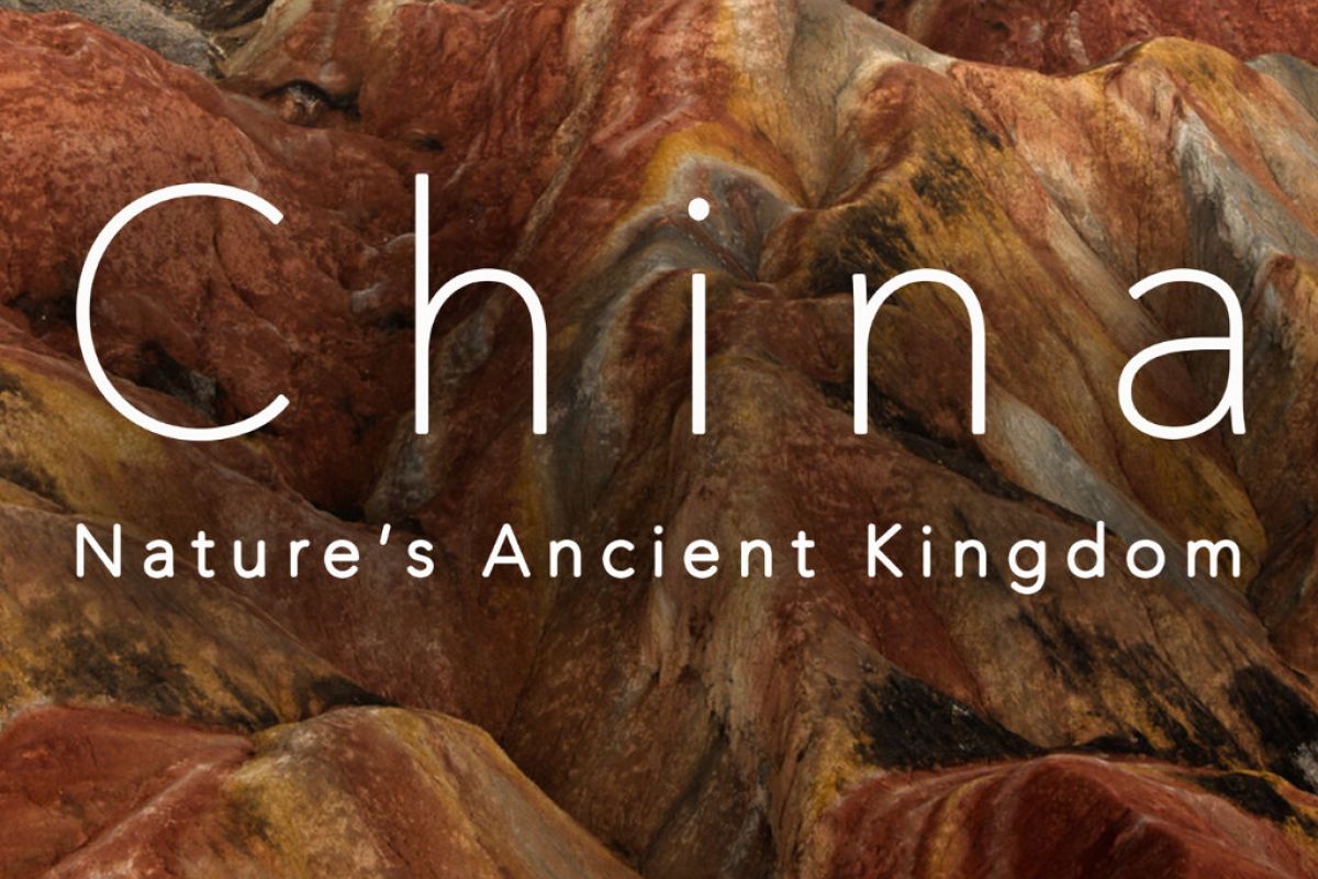 china natures 996e98c3