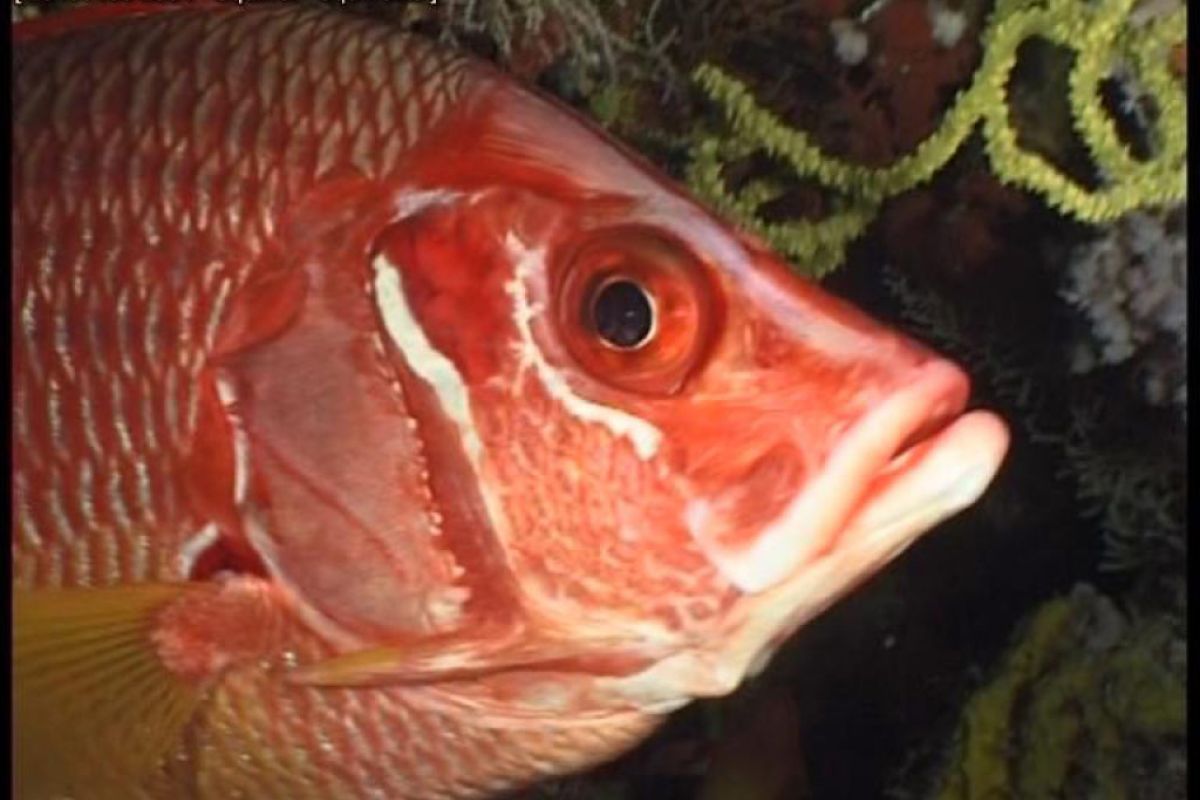 e9c9e1e607c018716b5affd1720bbf27 XL 99a15a73