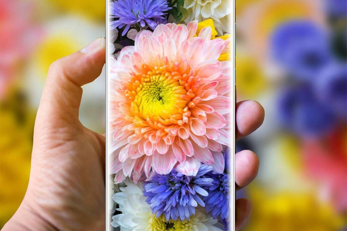 fdcabec82abef52440134b809af9cb92 XL 993c45ad