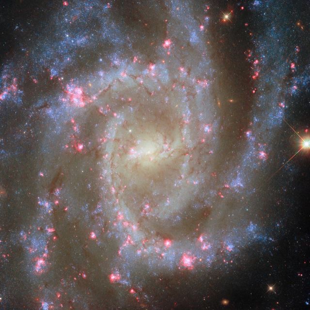 Το Hubble εντόπισε «ανθισμένα νεφελώματα» που παράγουν νέα γιγάντια άστρα